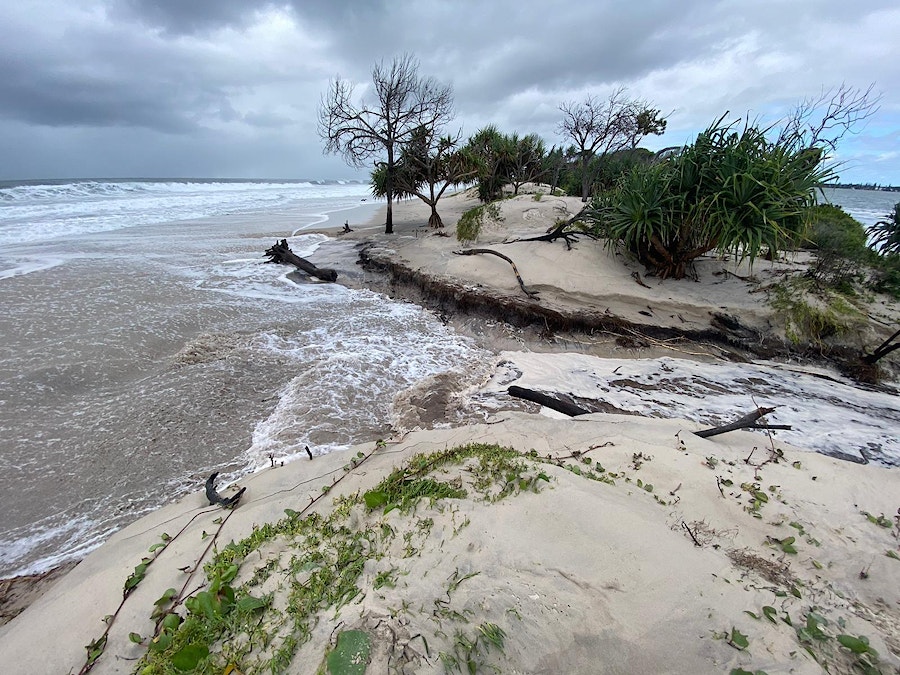 Ask Dr Dazza | Bribie breakthrough